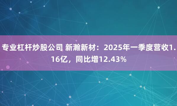 专业杠杆炒股公司 新瀚新材：2025年一季度营收1.16亿，同比增12.43%