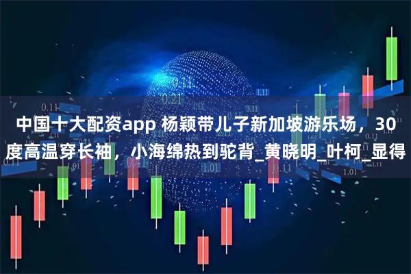 中国十大配资app 杨颖带儿子新加坡游乐场，30度高温穿长袖，小海绵热到驼背_黄晓明_叶柯_显得
